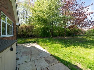 Picture 16